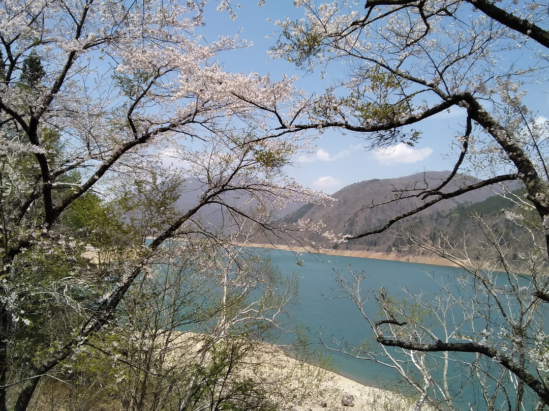 Shokawa-Zakura-高山市必去景点