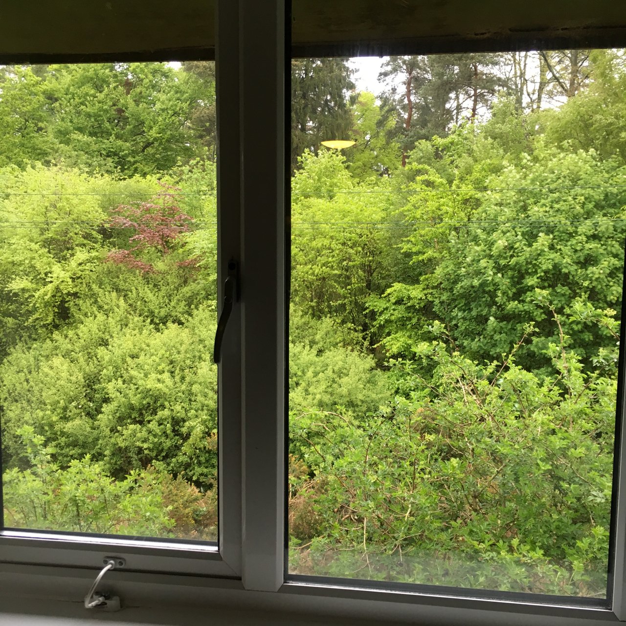Travelodge Newbury Tot Hill-酒店景观