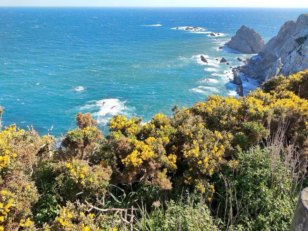 Cabo de Penas景点图片