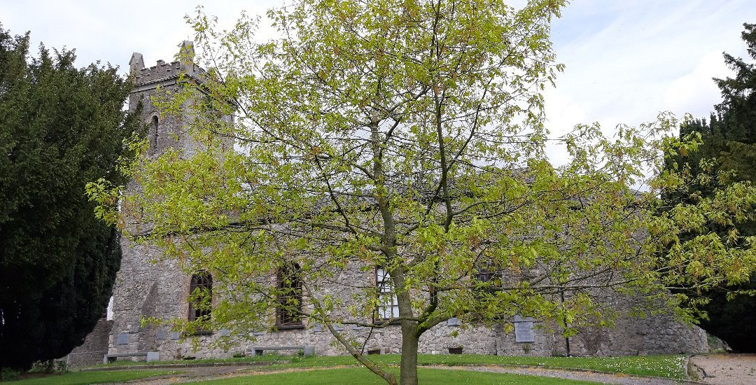 Clane Abbey & Remembrance Garden-Clane必去景点