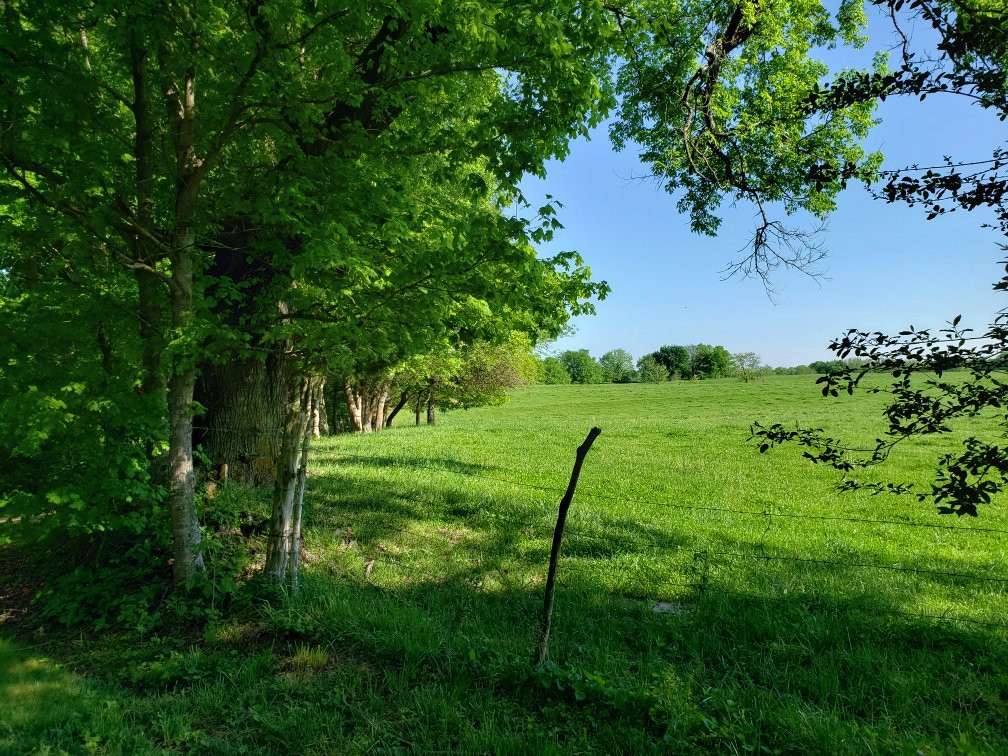 Billy Dunlop Park-克拉克斯维尔必去景点
