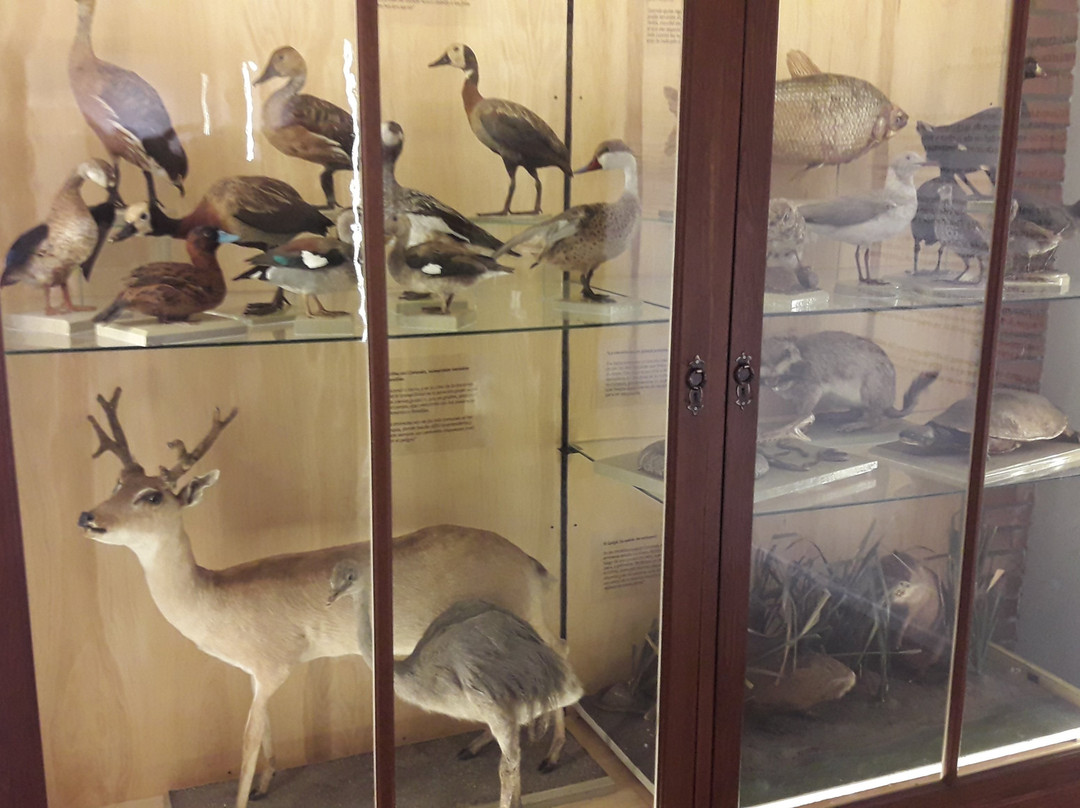 Museo Provincial De Ciencias Naturales Florentino Ameghino景点图片