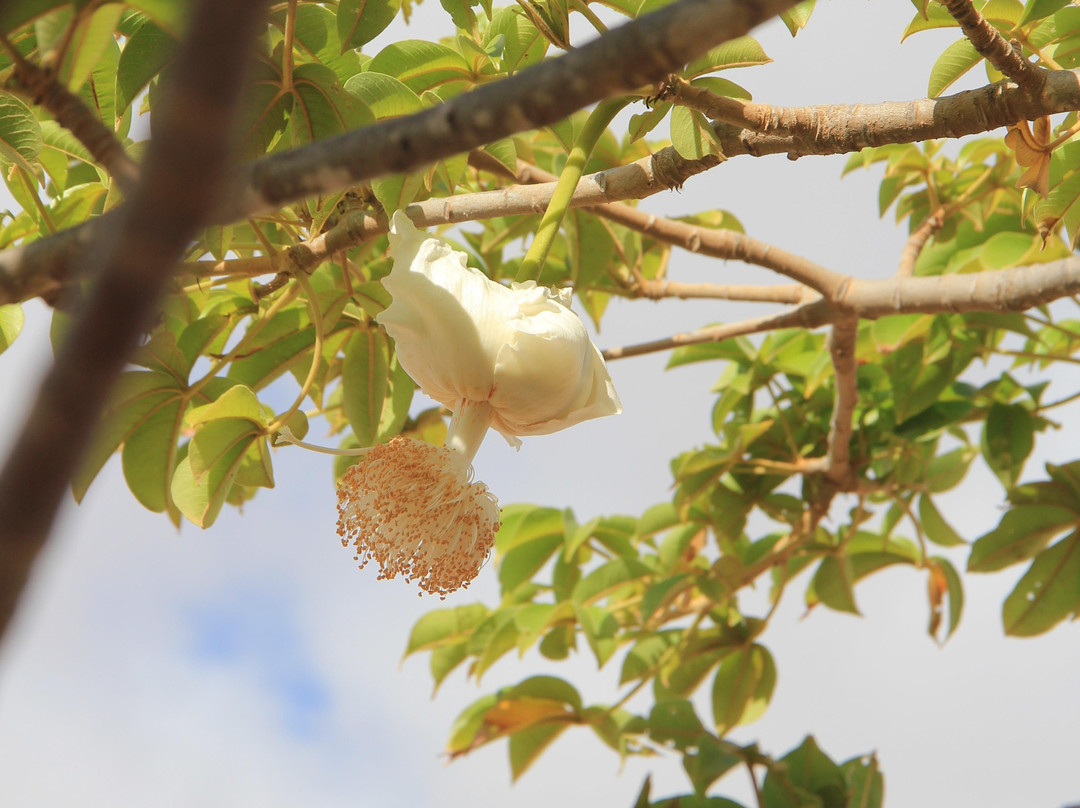 Inseltouren mit Herz-博阿维斯塔必去景点