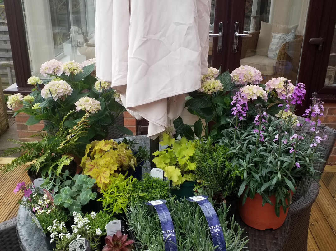 Lichfield Garden Centre景点图片