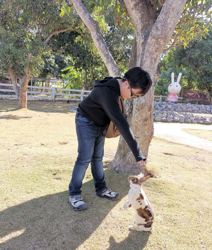 Khao Yai Farm Village景点图片