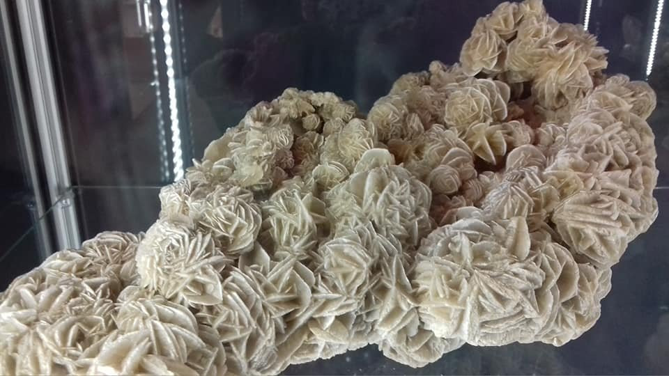 Muzeum Geologiczne Wydziału Nauk o Ziemi Uniwersytetu Szczecińskiego-什切青必去景点