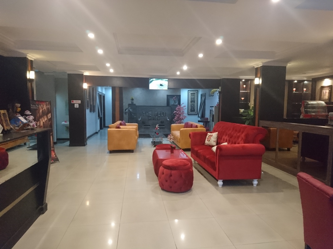 The Feli Hotel主图