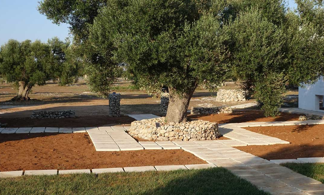 Giardino Del Tempo主图