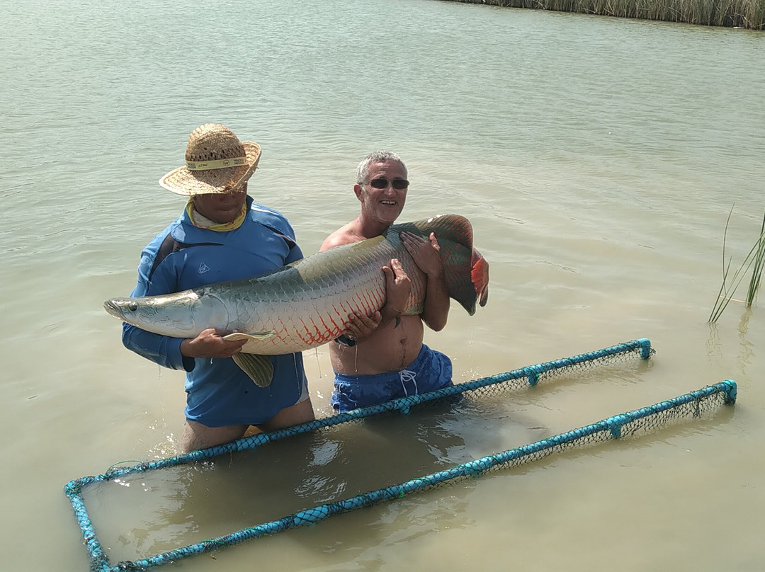 Elton View Fishing Park景点图片