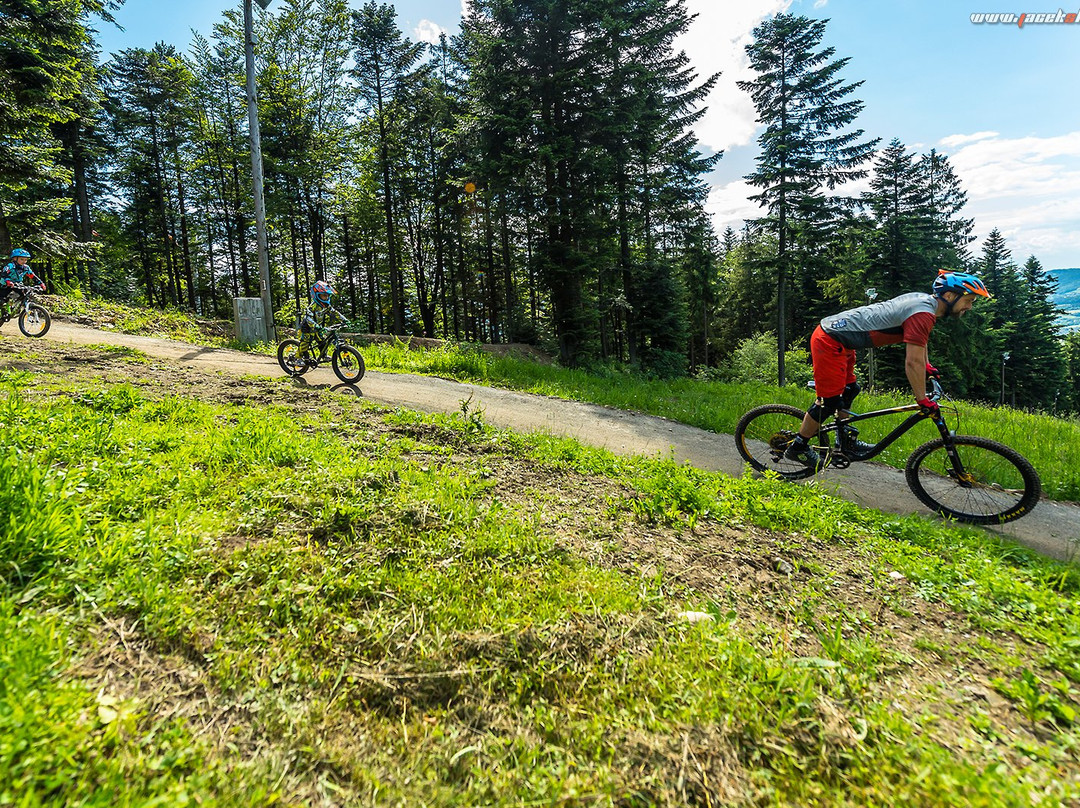 Kasina Ski & Bike Park景点图片