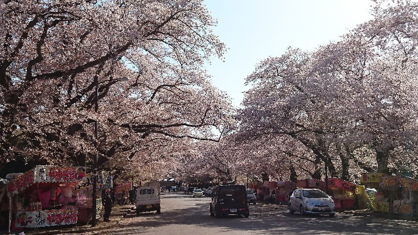 Kobayashi Farm-印西市必去景点