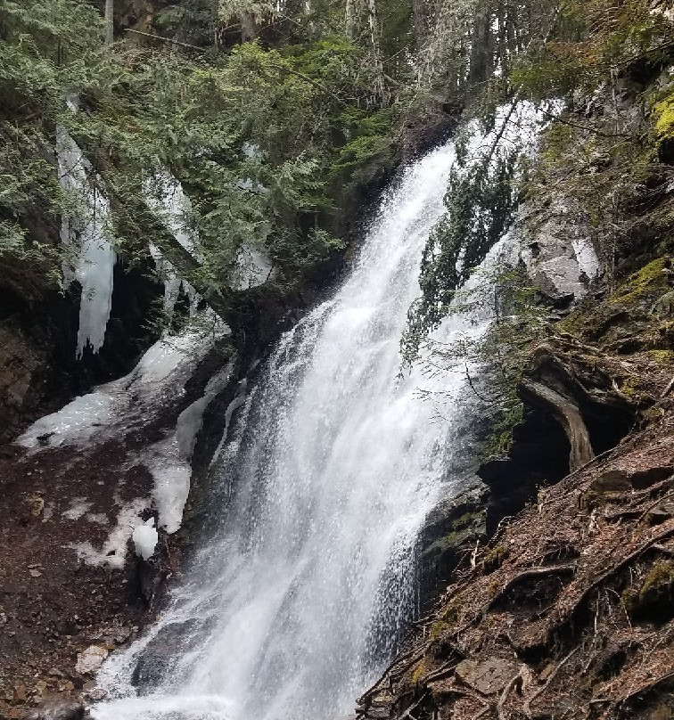 Fletcher Falls-Kaslo必去景点