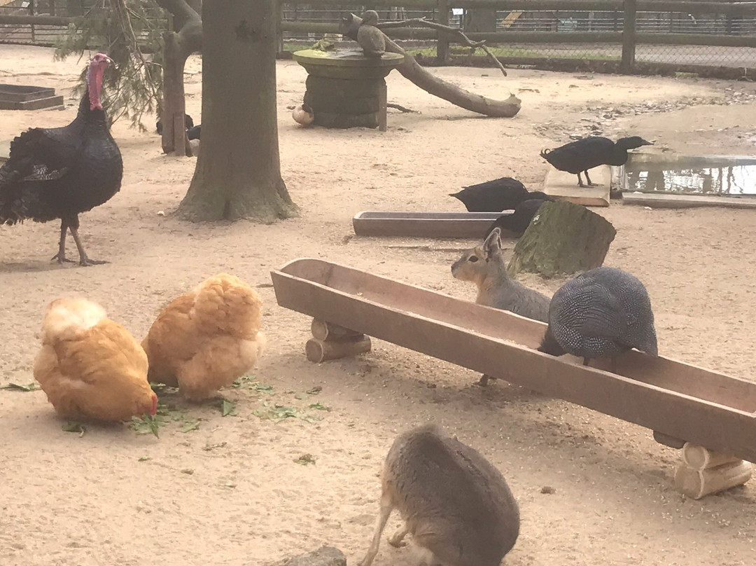 Tierpark Gera-Gera必去景点