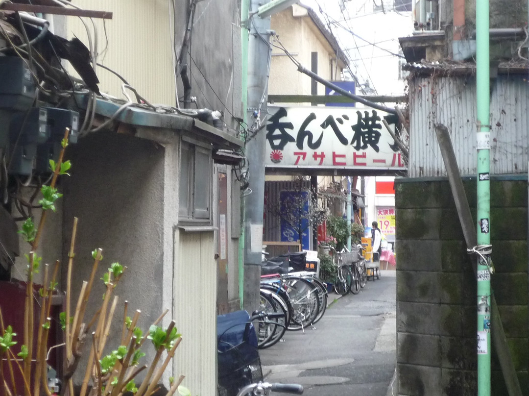 Tateishi Nakamise Shotengai-葛饰区必去景点