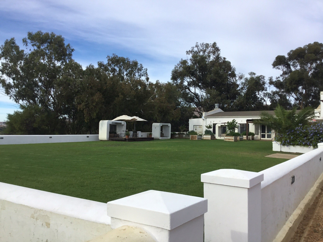 Meerendal Wine Estate景点图片