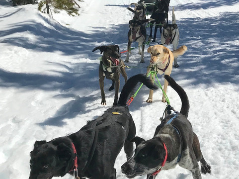 Oregon Trail of Dreams-本德必去景点