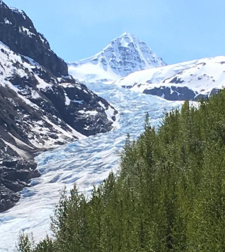 Bear Glacier Provincial Park景点图片