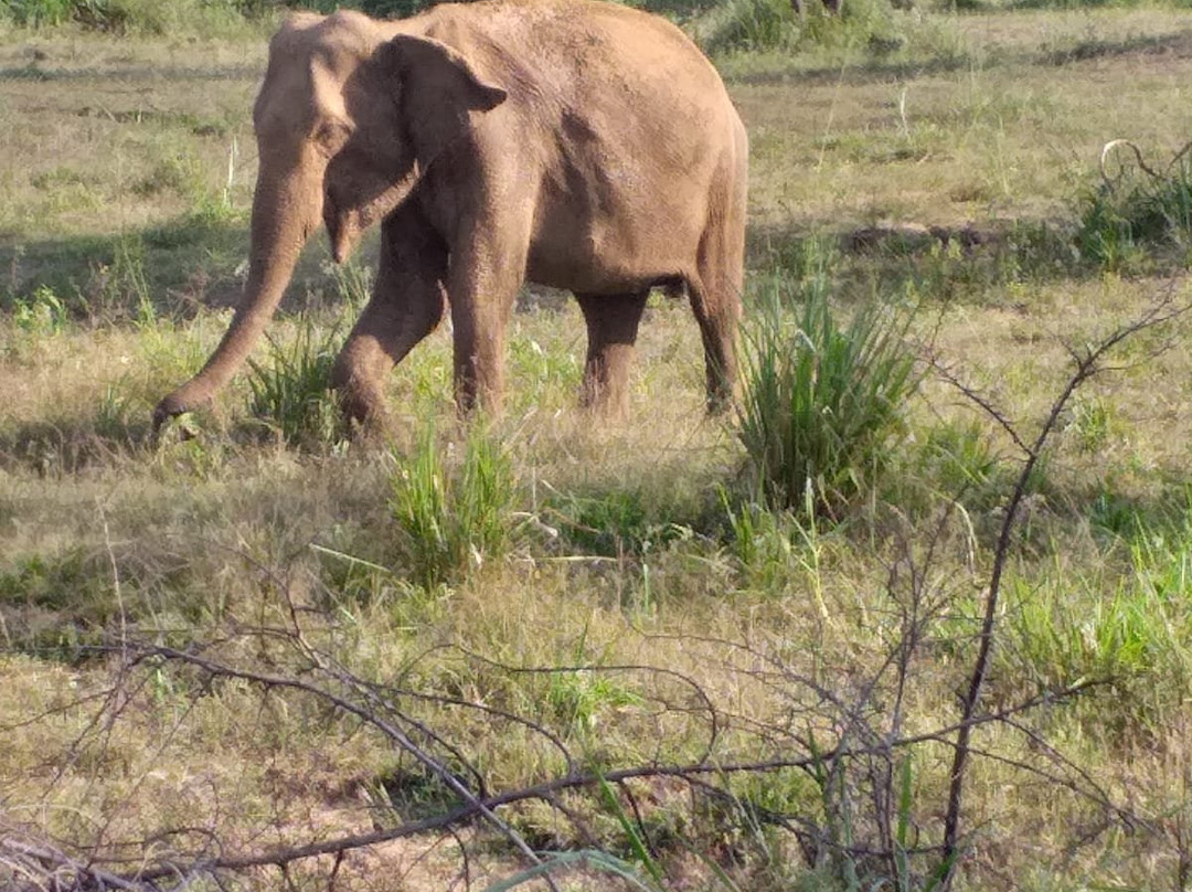 Safari Kenya Watamu-瓦塔木必去景点