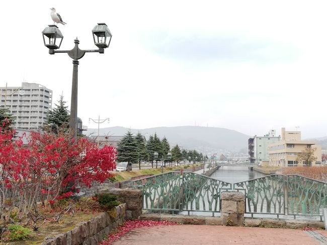Chuo Bridge-小樽市必去景点