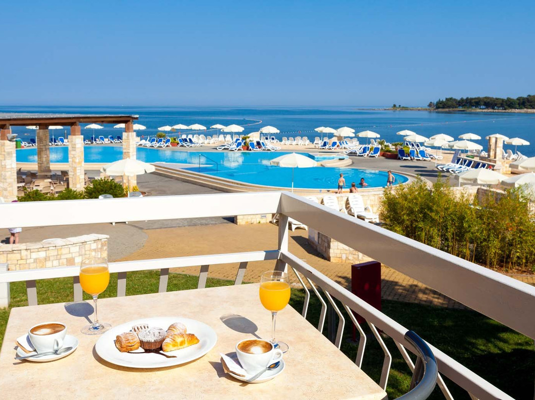 Istrian Villas Plava Laguna主图
