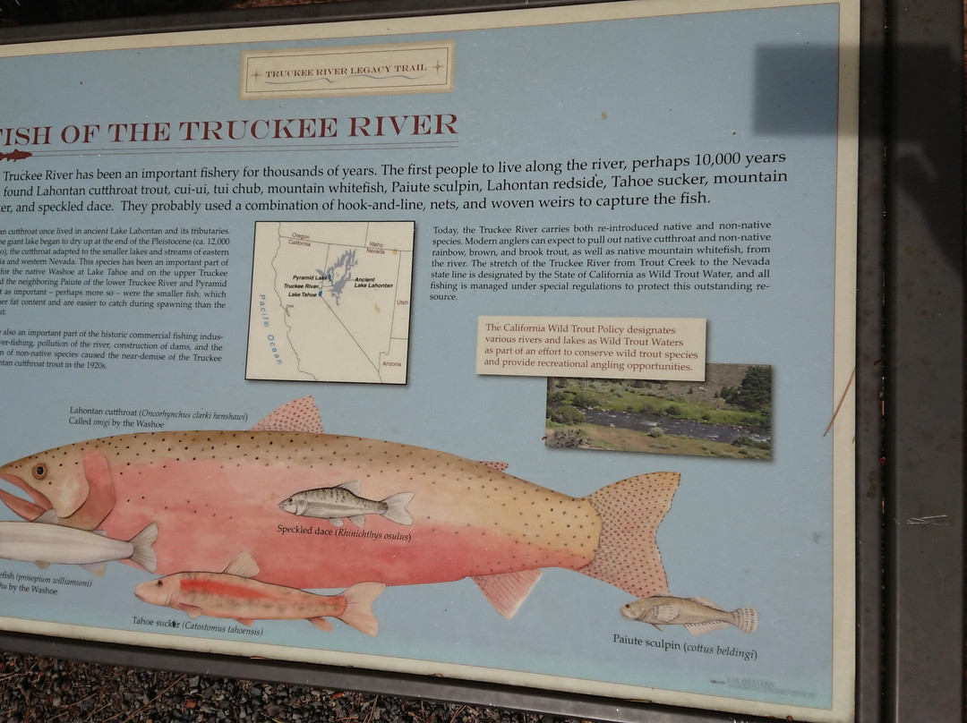 Truckee River Legacy Trail景点图片