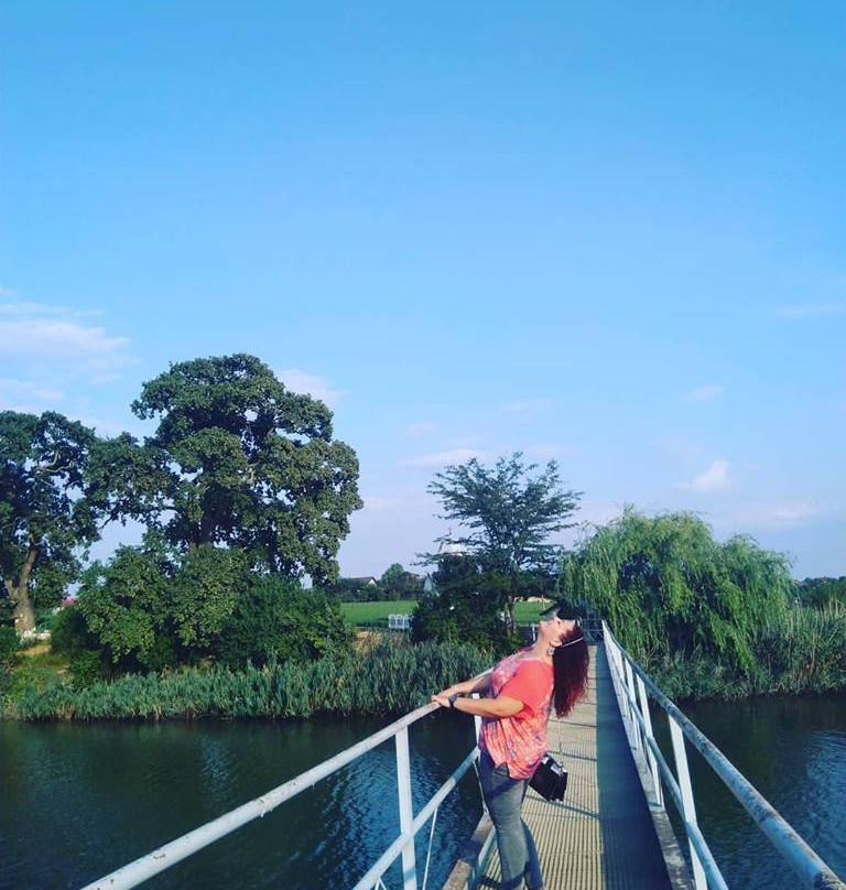 Ilfov County旅游攻略图片