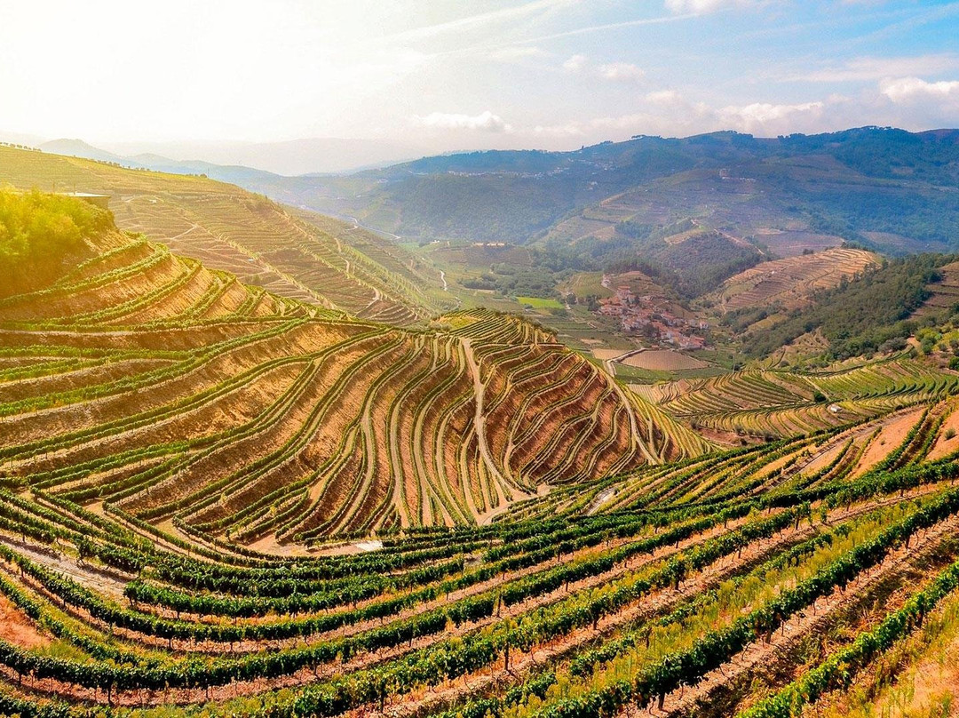 Douro Criativo景点图片