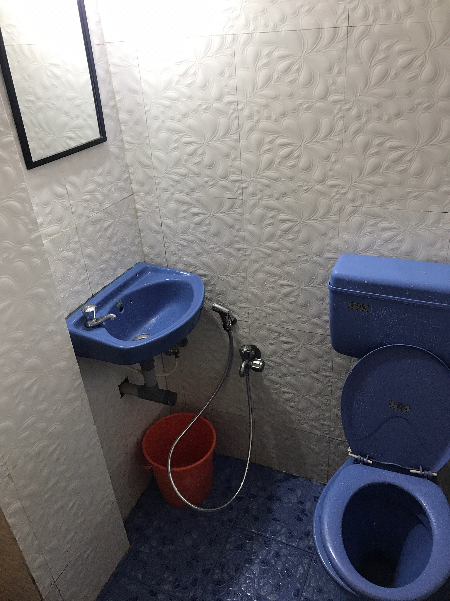 Cactus Guesthouse-官方