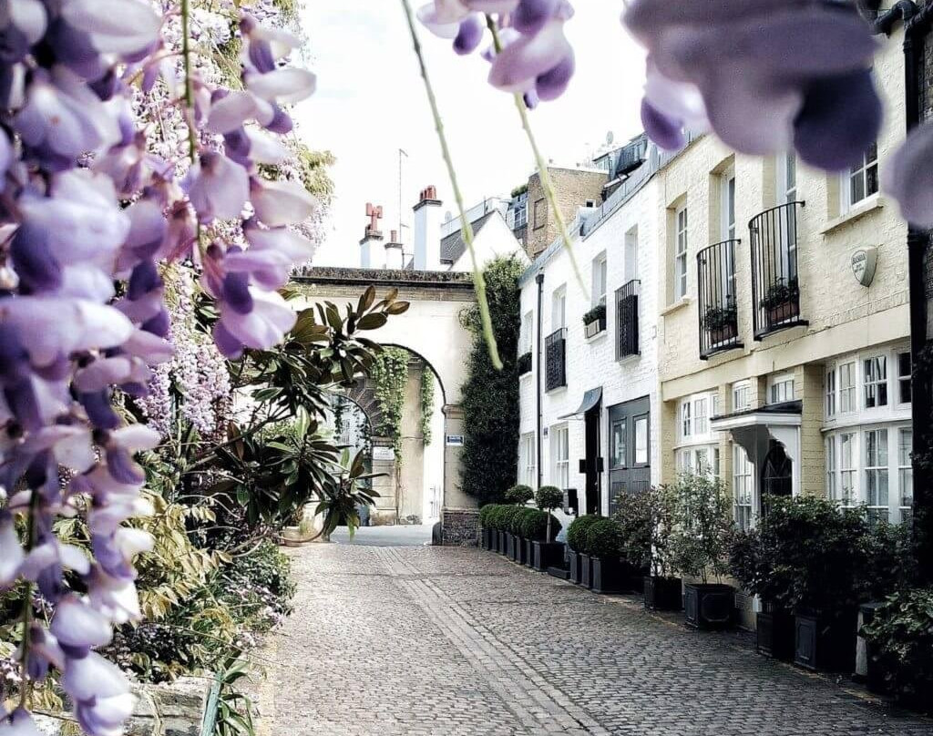 Side Street Explorers-约翰内斯堡必去景点