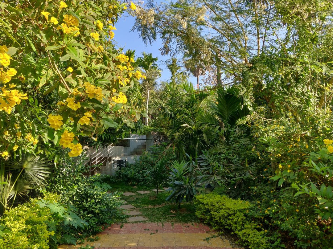 Silvanus Forest Retreat, Alibaug主图