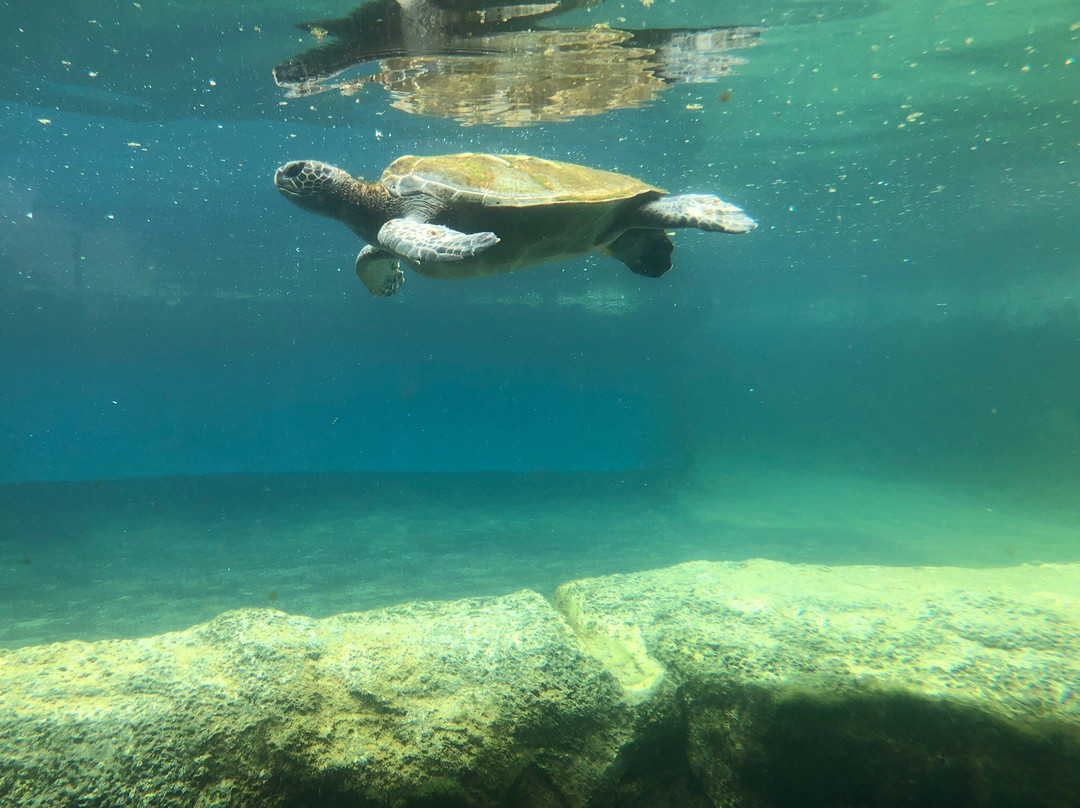 Ocean Science Discovery Center-怀露库必去景点