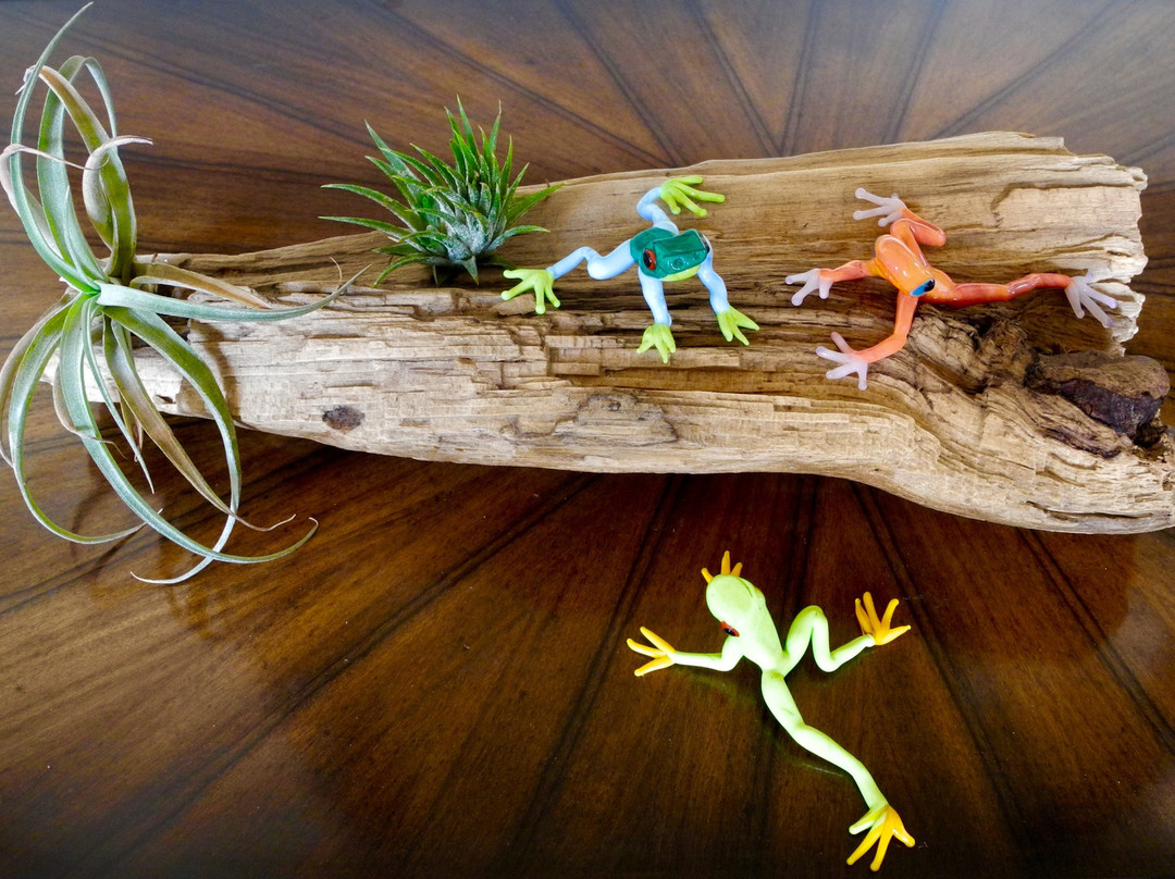 Jo Bean Glass-Windwardside必去景点