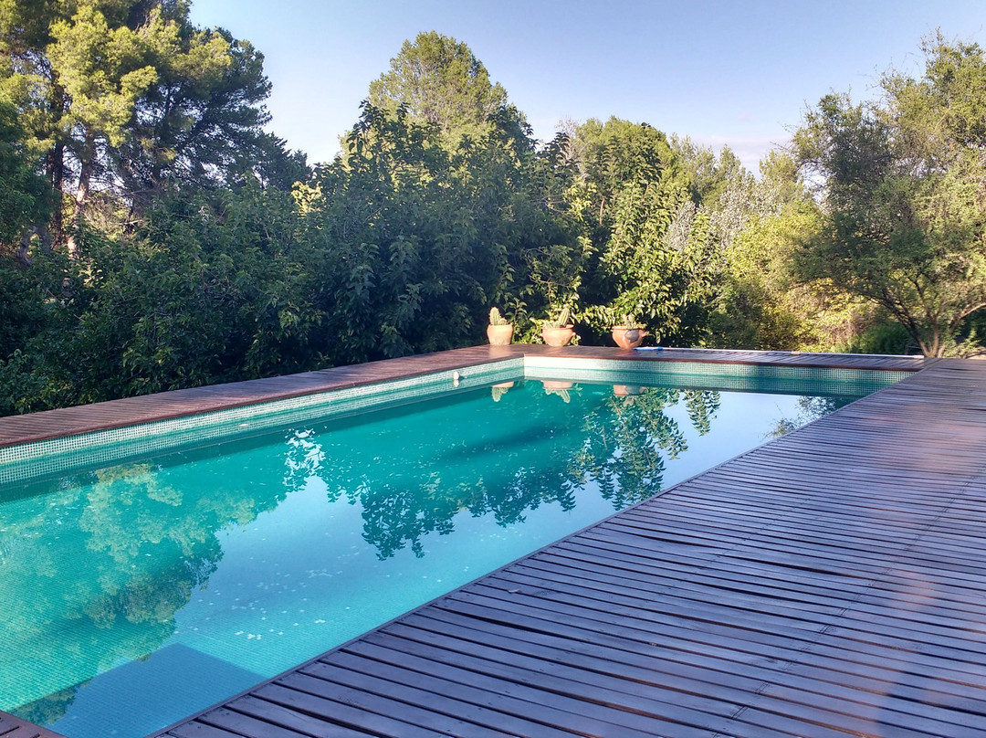 Puesto Victoria主图