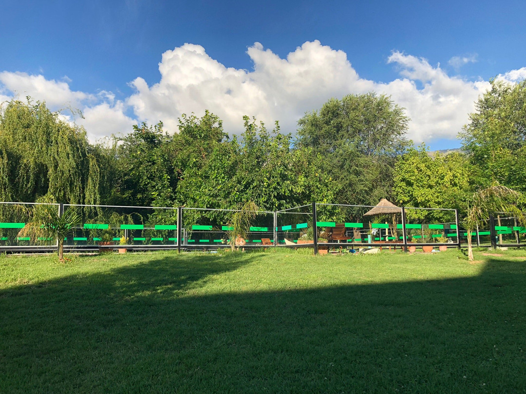 Terrazas del Rincon主图