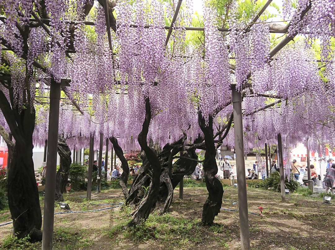 竹鼻别院-羽岛市必去景点