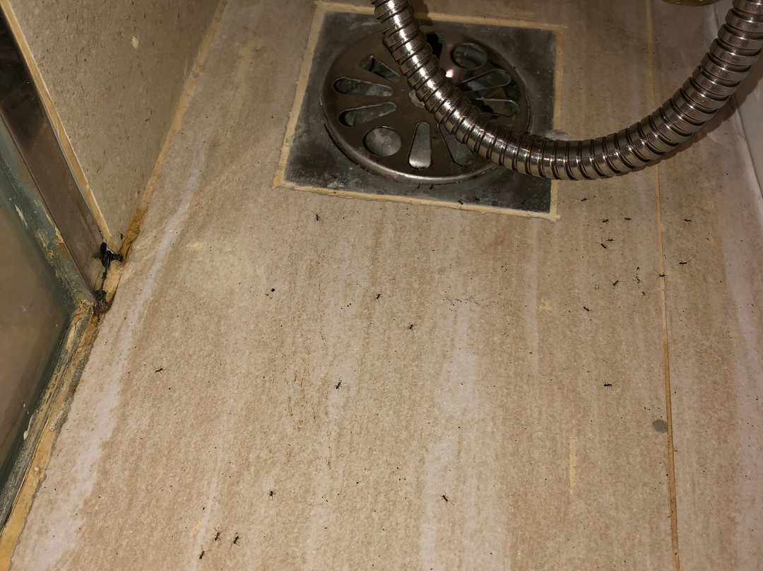 巴淡岛新世纪度假村主图