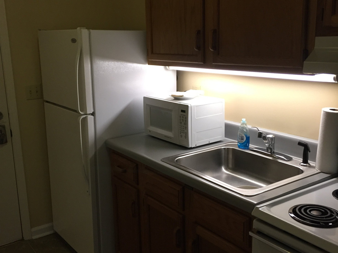 Halesford Harbour Resort主图