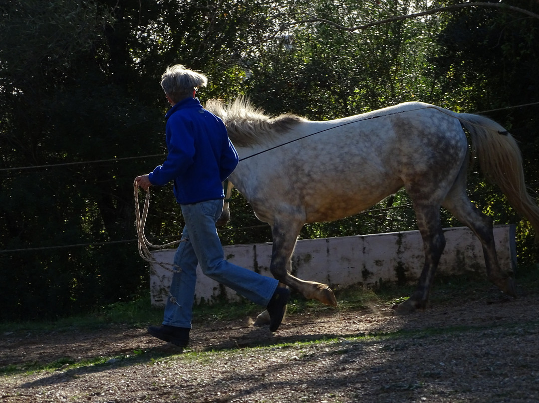 PeripetiaHorses-Chrani必去景点