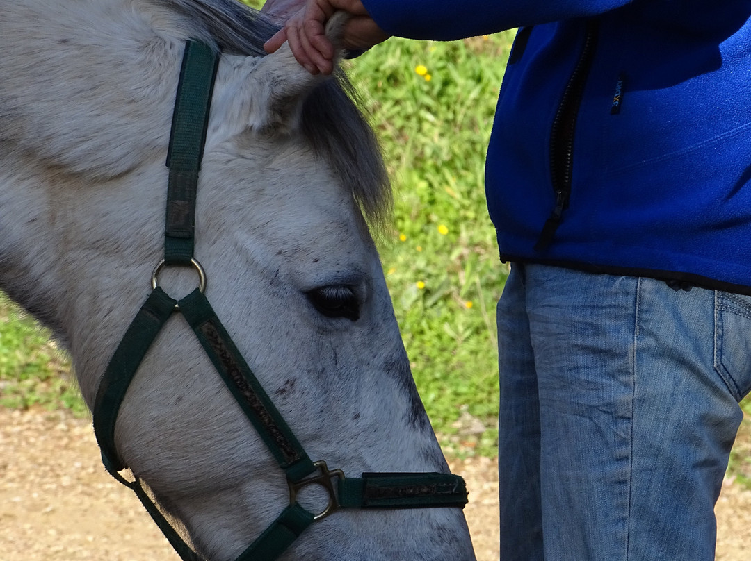 PeripetiaHorses-Chrani必去景点