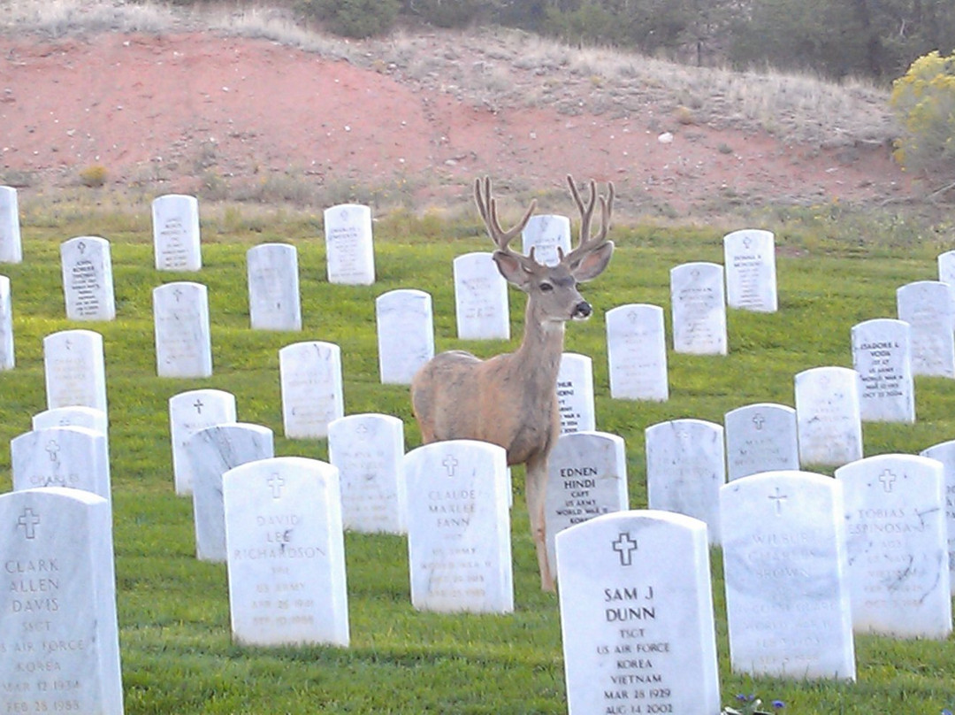 Santa Fe National Cemetery-圣菲必去景点