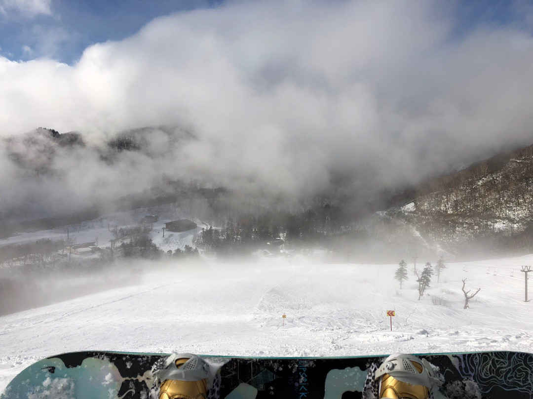 Tsugaike Kogen Ski Resort景点图片