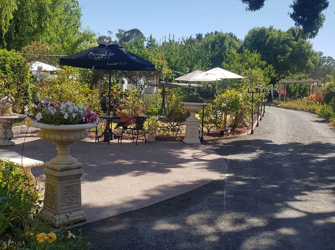 Great Western餐馆和美食-Fer&co Garden Cafe