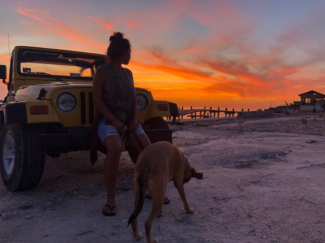 Harbour Adventures-South Caicos必去景点