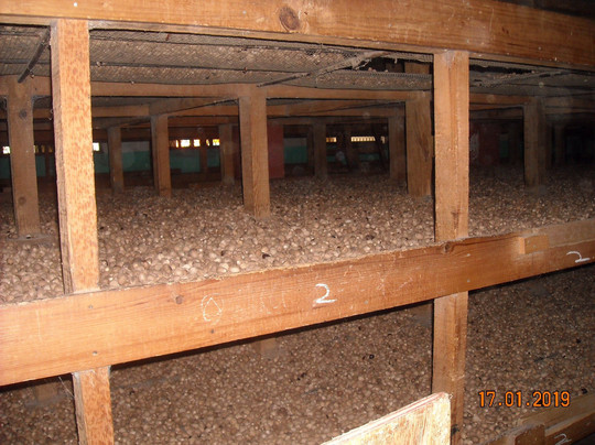 Gouyave Nutmeg Processing Station-Gouyave必去景点