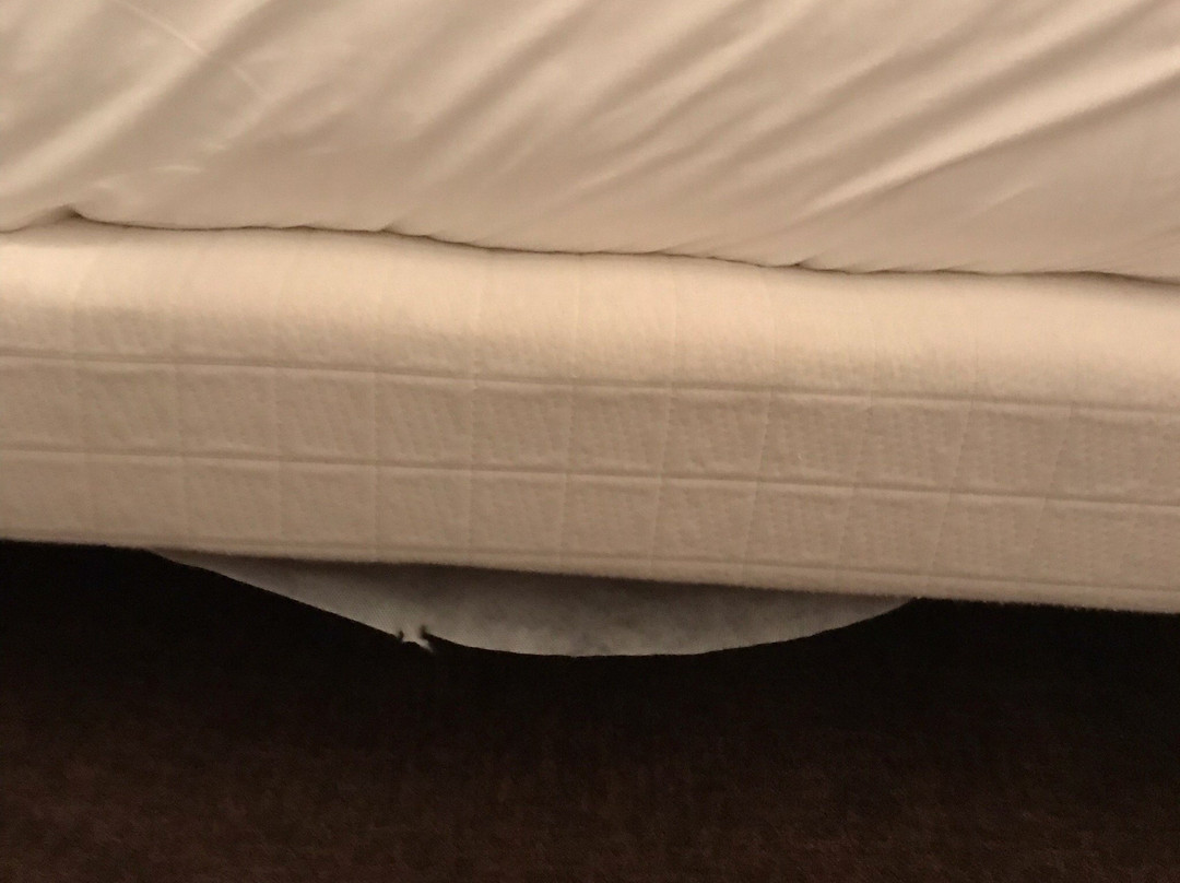 Kyriad Bordeaux Begles主图