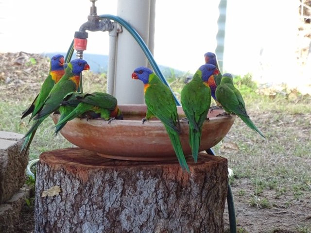 Magnetic Island Bed & Breakfast主图