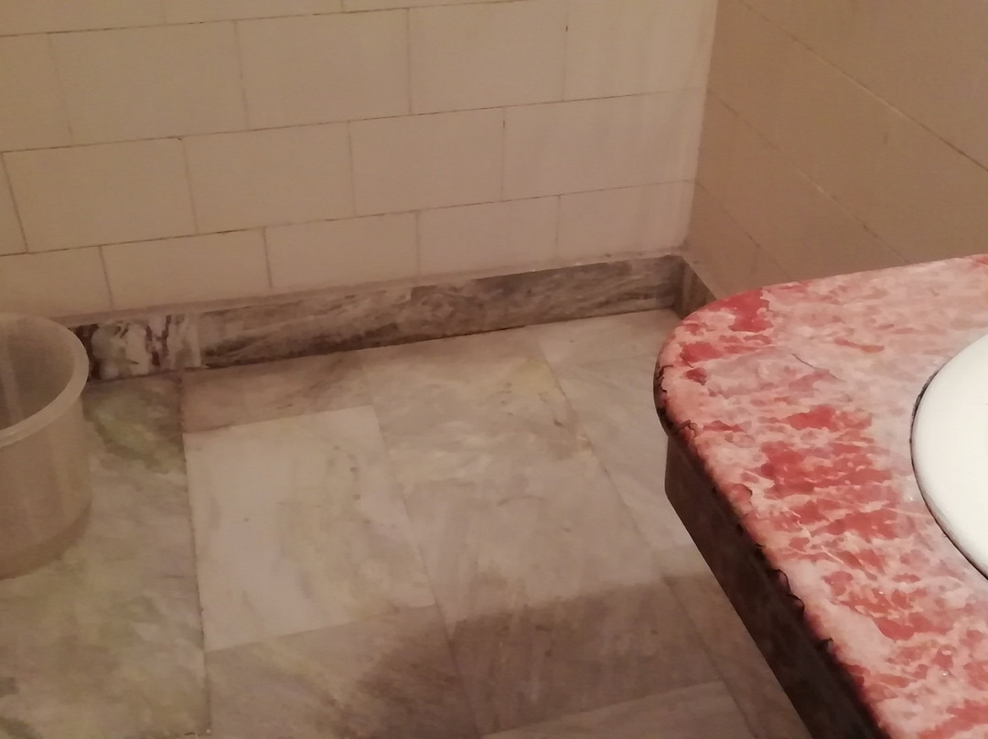 Hotel Krishna Sagar主图