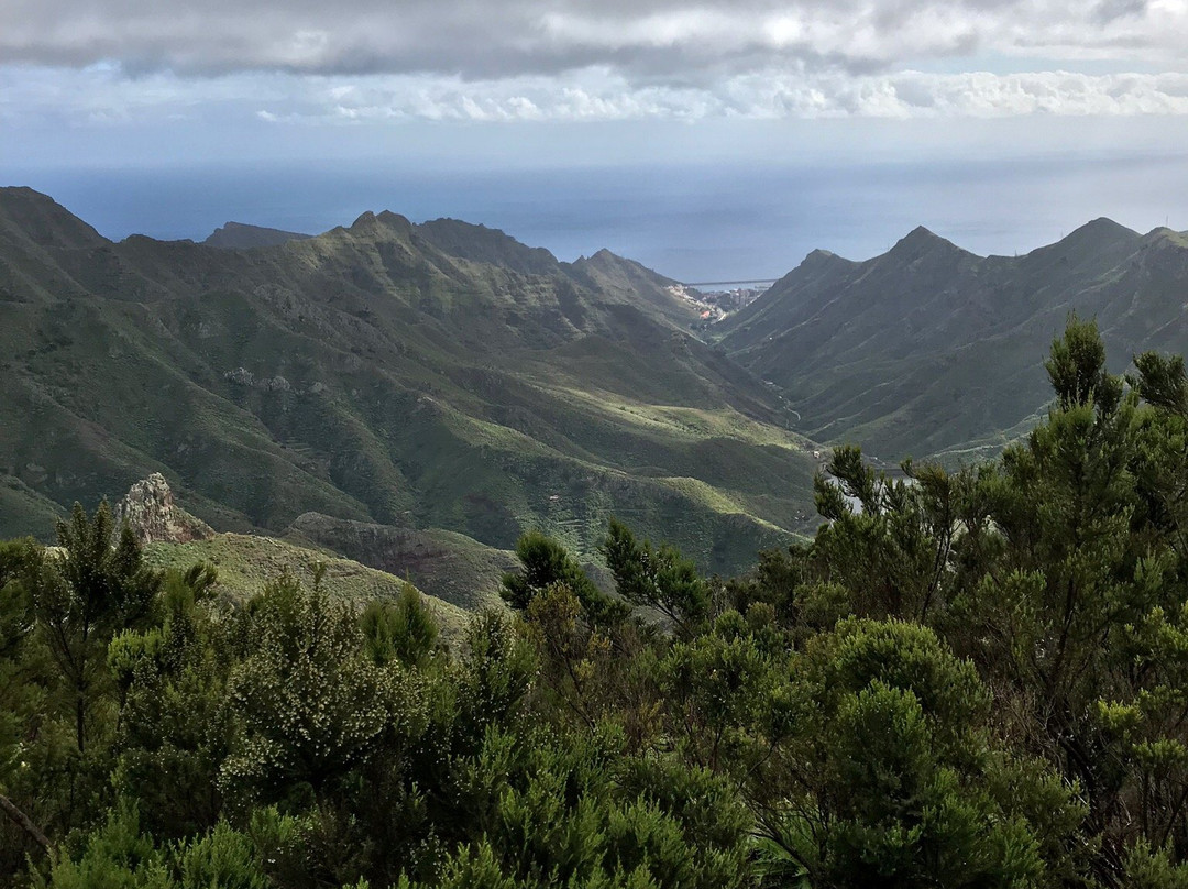 Sendero de los Sentidos景点图片