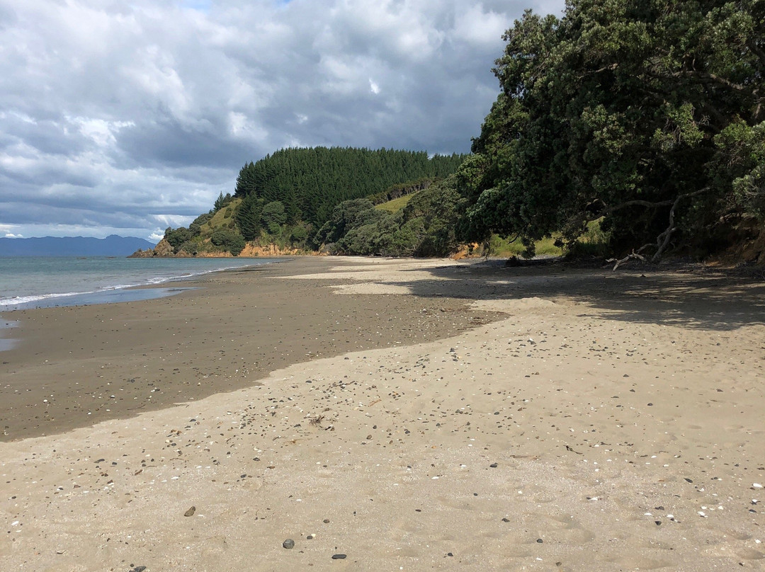 Tawhitokino Regional Park-奥克兰必去景点