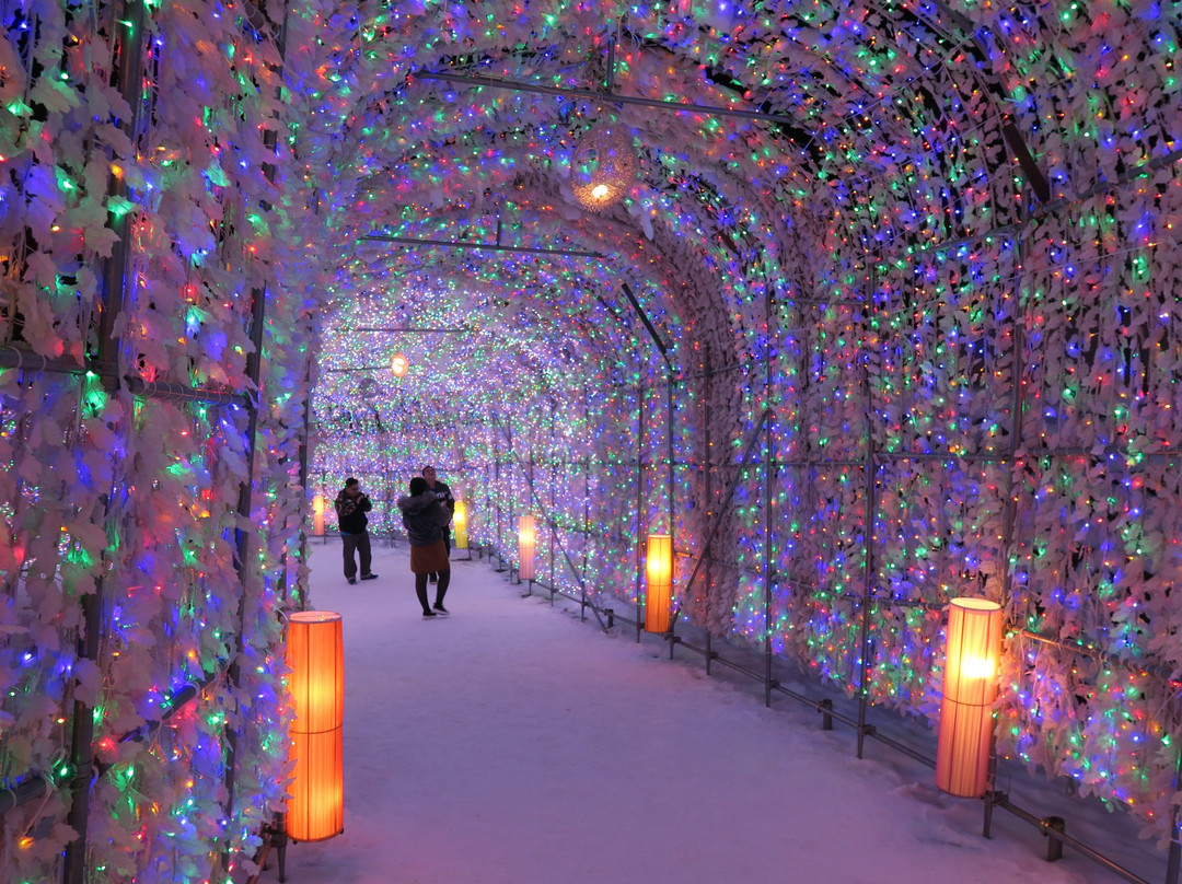 Toyako Onsen Illumination Tunnel